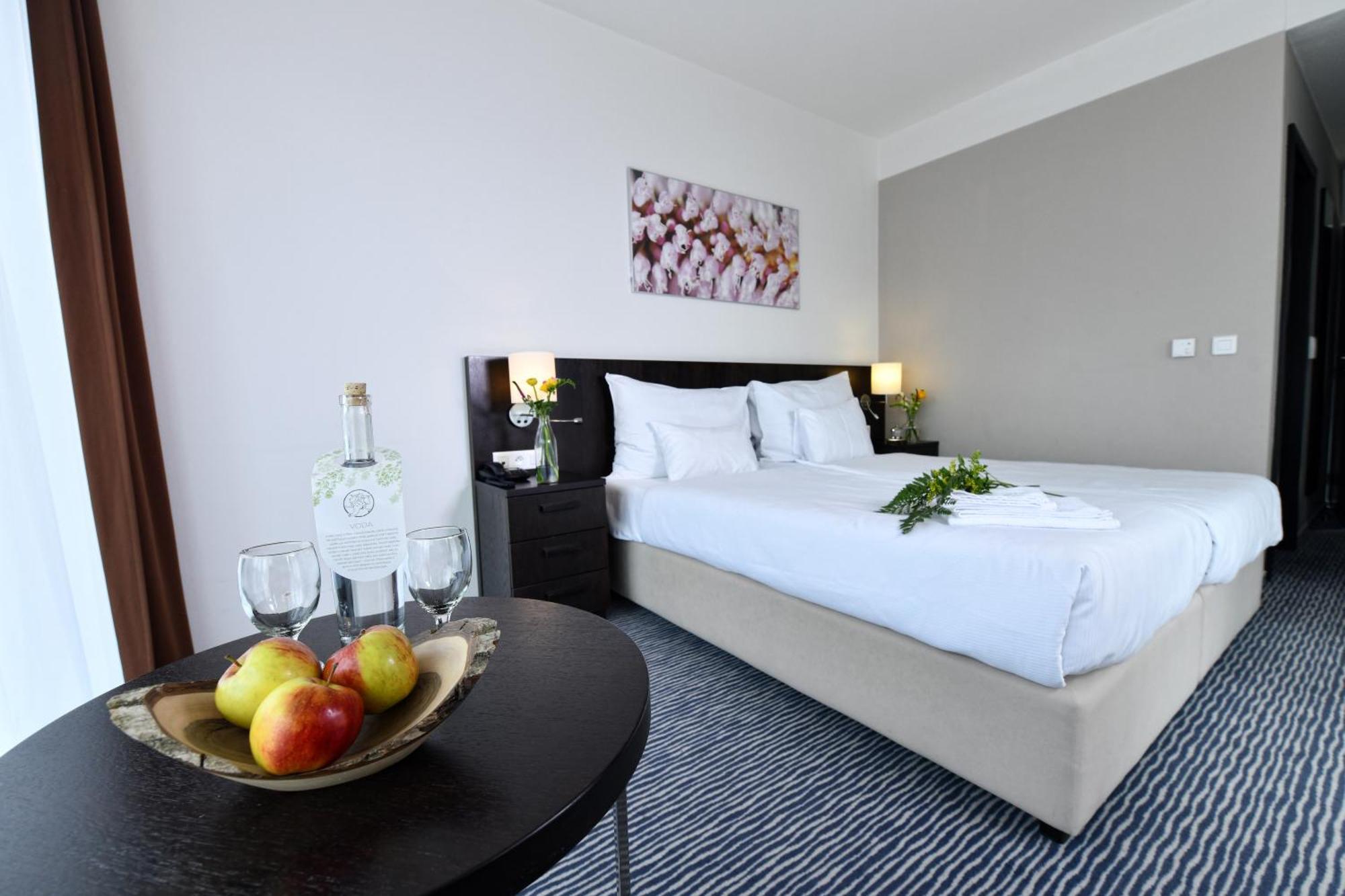 Wellness Hotel Vista Dolni Morava Exterior photo