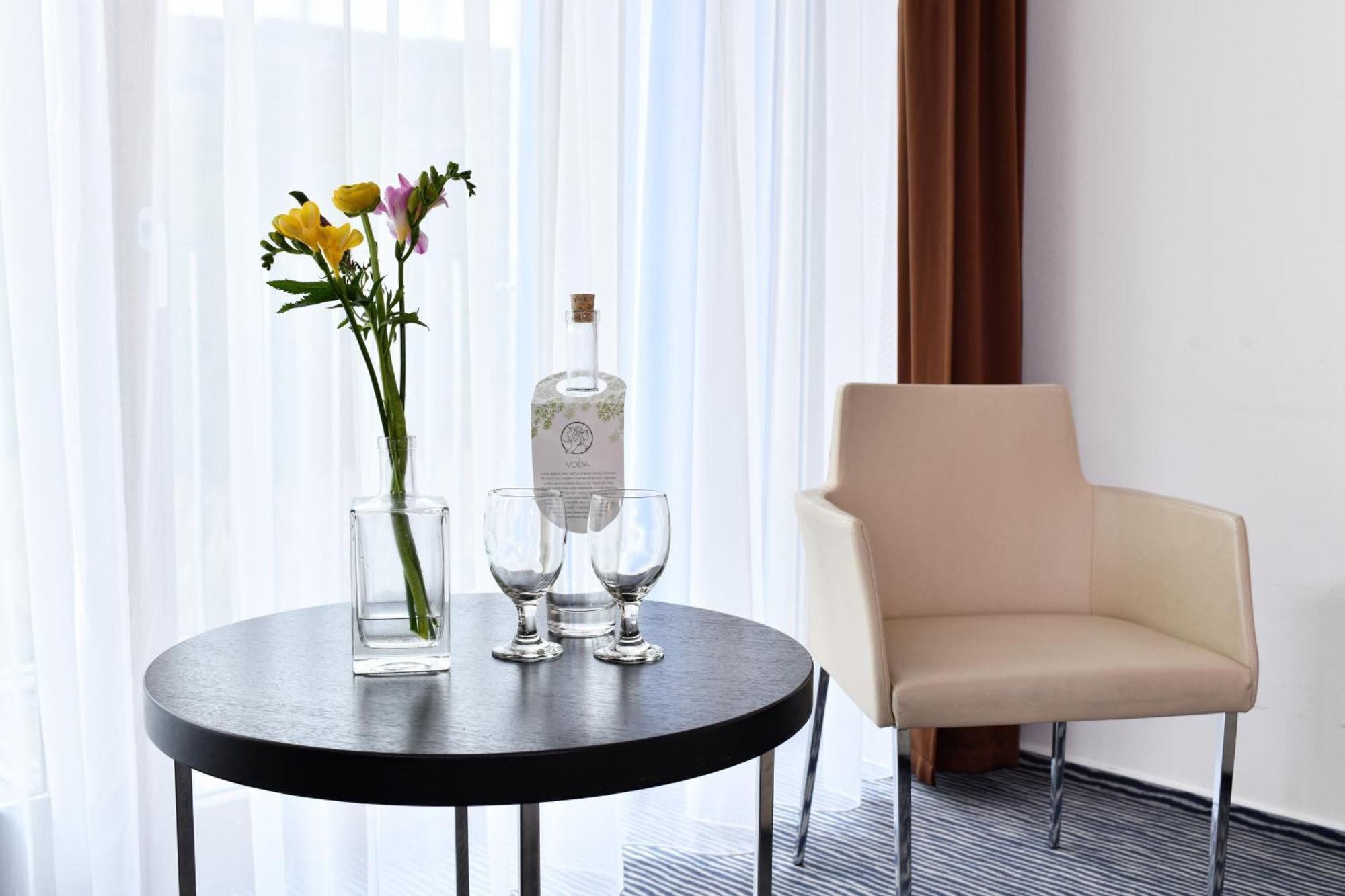 Wellness Hotel Vista Dolni Morava Exterior photo